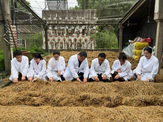 田埂上的科技创新系列报道（四）︱“秸”尽所能 点草成“金”天博(图3)