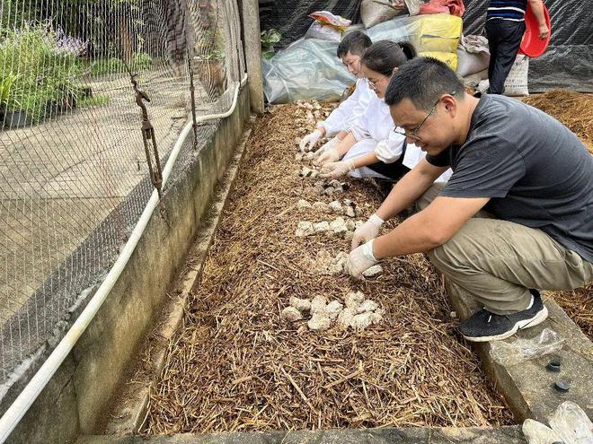 田埂上的科技创新系列报道（四）︱“秸”尽所能 点草成“金”天博(图4)