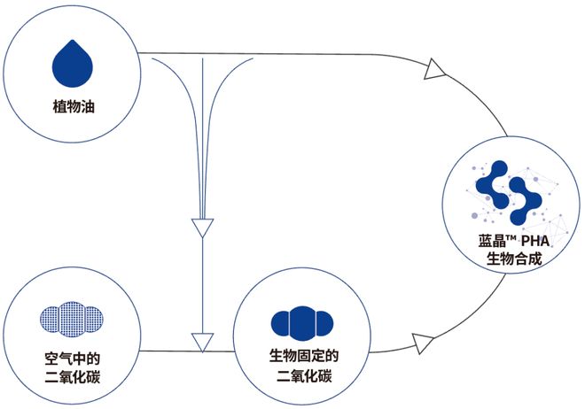“塑料天博”也能是环保材料？(图5)